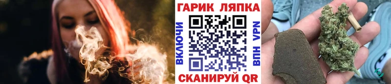 Где купить наркоту Лесной Alpha-PVP  Мефедрон  АМФ  ГАШИШ  МАРИХУАНА  hydra зеркало  Cocaine 
