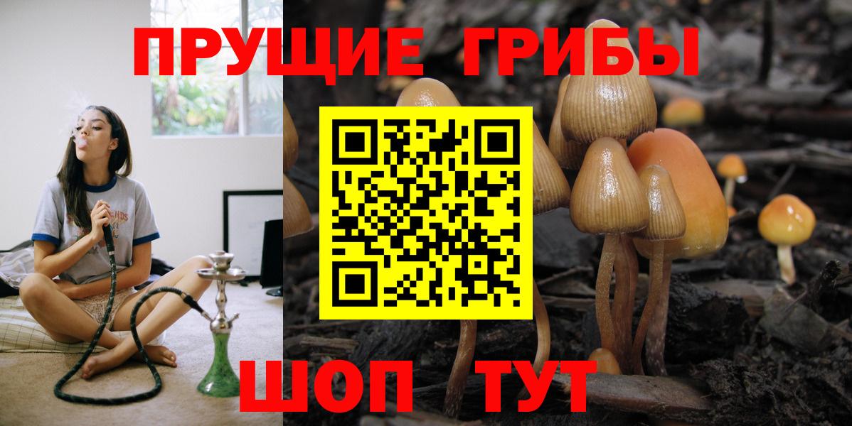 Лесной  Галлюциногенные грибы Magic Shrooms  Вход с VPN  Псилоцибиновые грибы Psilocybe 